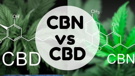 CBN vs CBD: What’s the Difference?
