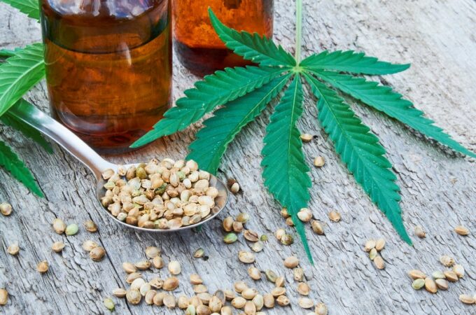 Everything You Need to Know About CBD and One of its Premium Developers