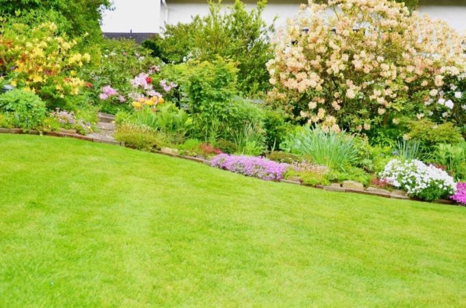 5 Landscaping Tips You Should Keep in Mind