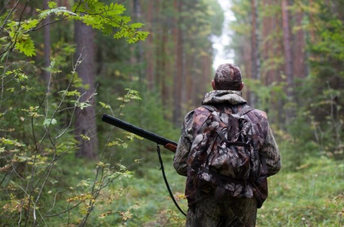 6 Deer Hunting Tips Every Hunter Should Know