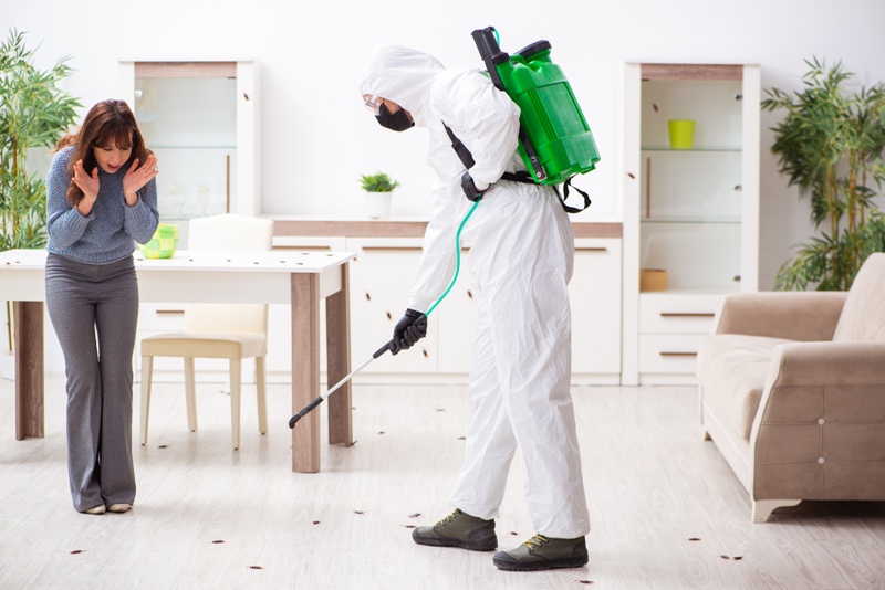 Dos And Don’ts After A Pest Control Treatment