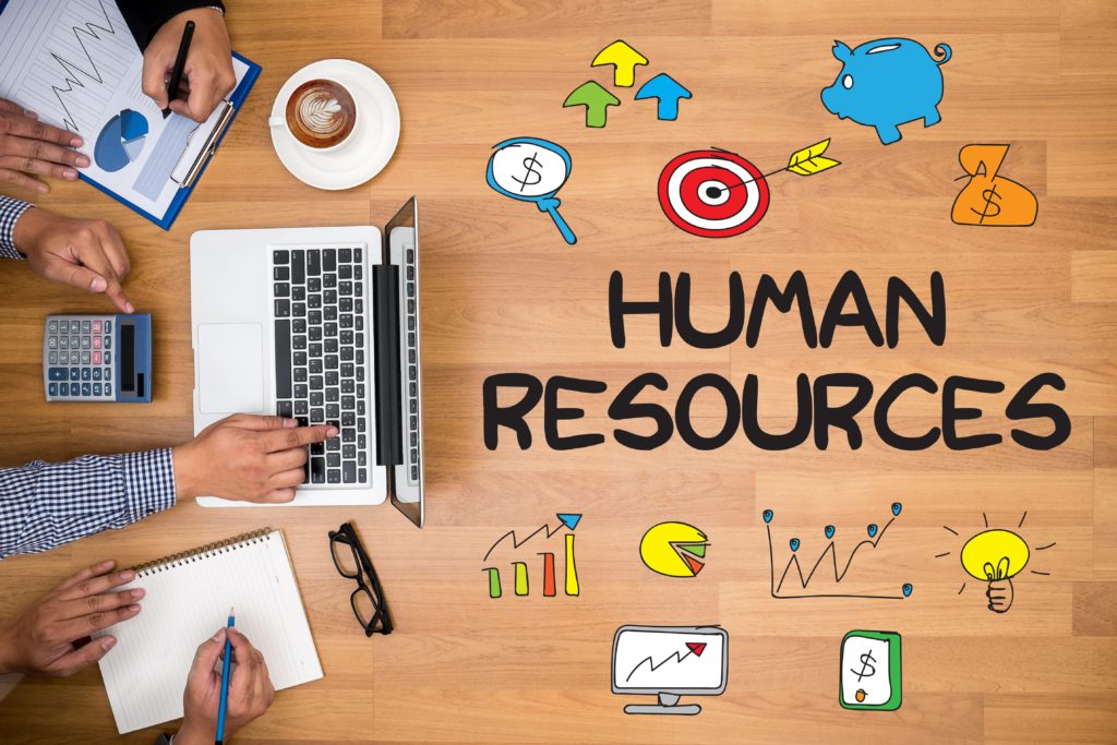 How to maximise your employee’s potential with HR software