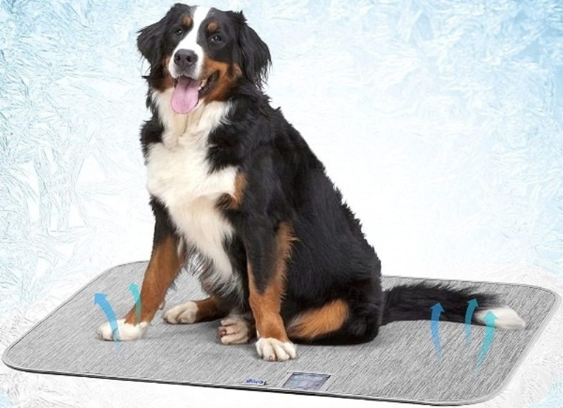 How do Avoalre Arc-Chill Cooling Mat for Pets Keep Your Pup Chilled?