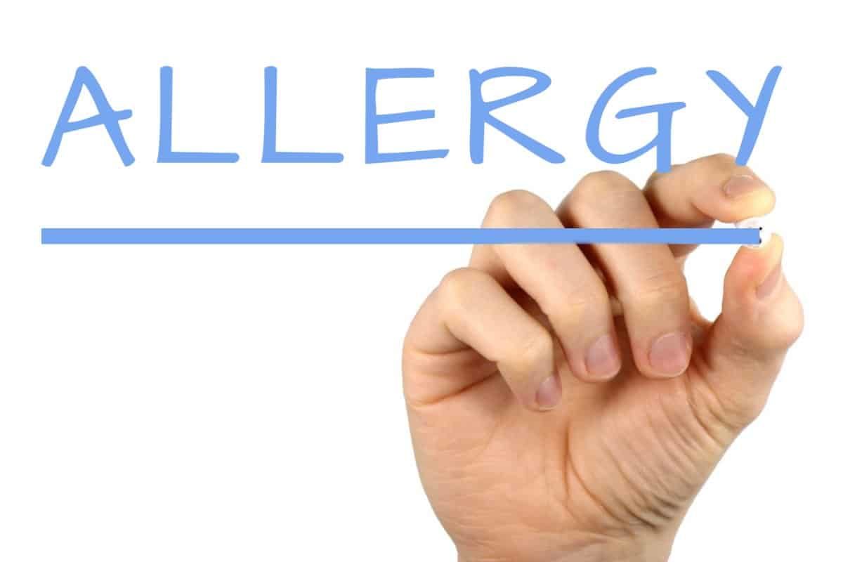 Fall 2021 Guide: Allergy Prevention