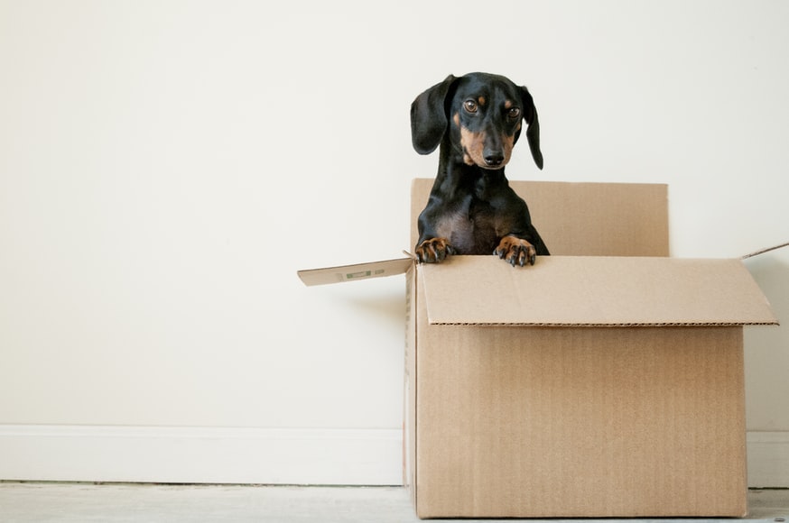3 Reasons Why You Should Hire Moving Companies to Help You