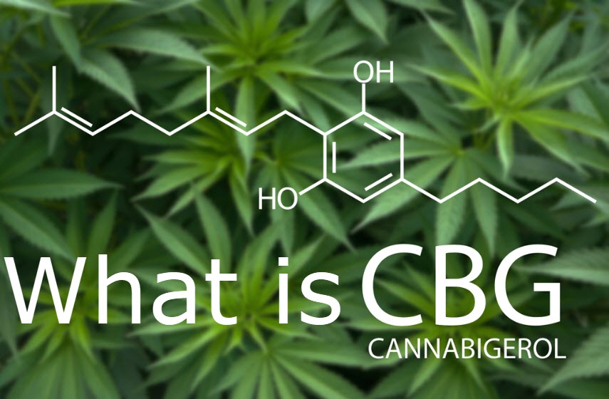 What is CBG Tincture? Advantages, Impacts, and that’s just the beginning?