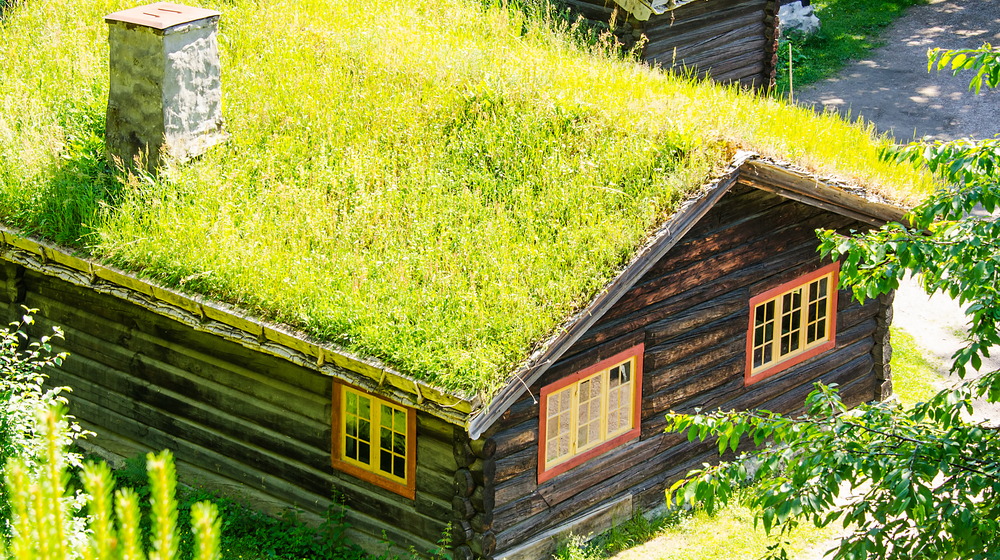Three Benefits To ‘Going Green’ In Roofing And Contracting