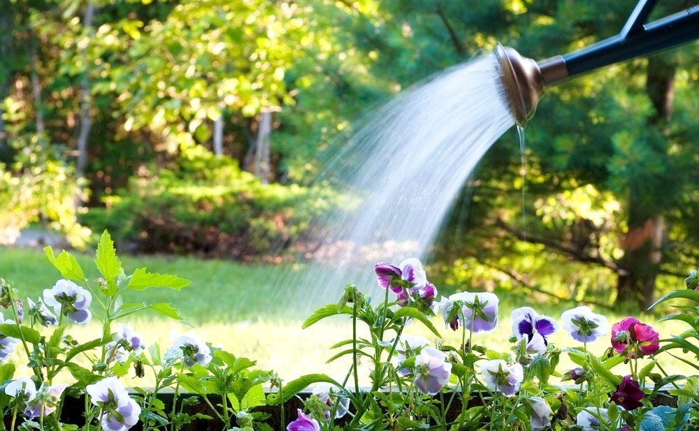 Beat the Heat: 9 Tips For Heat-Proofing Your Garden