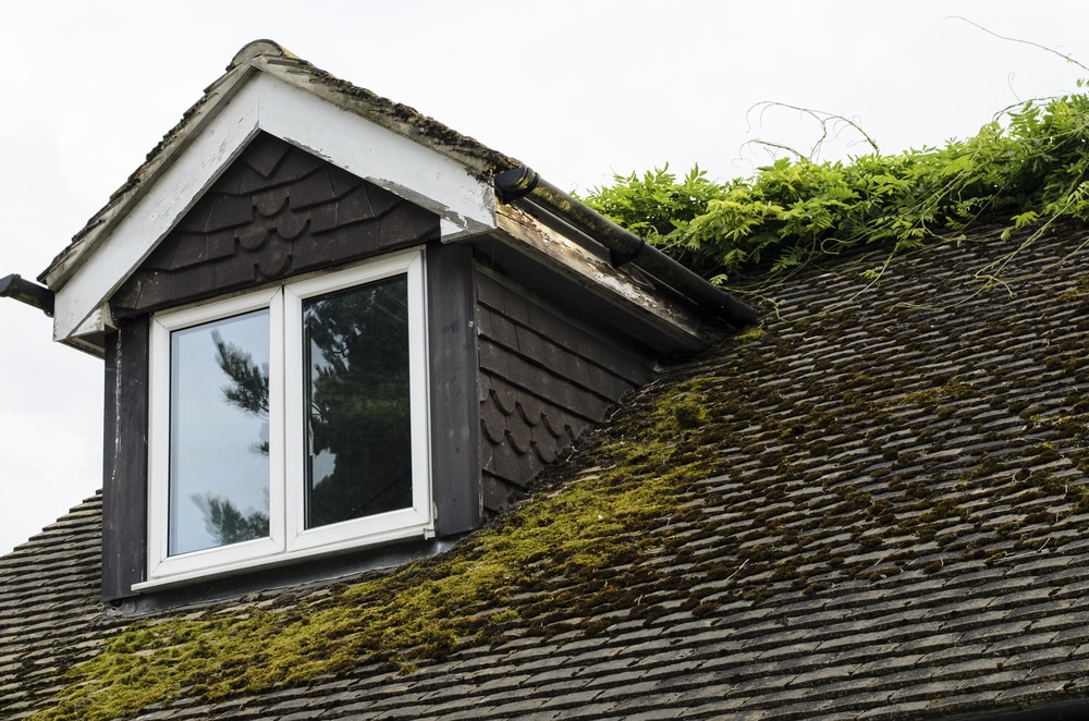What should you use to clean your roof?