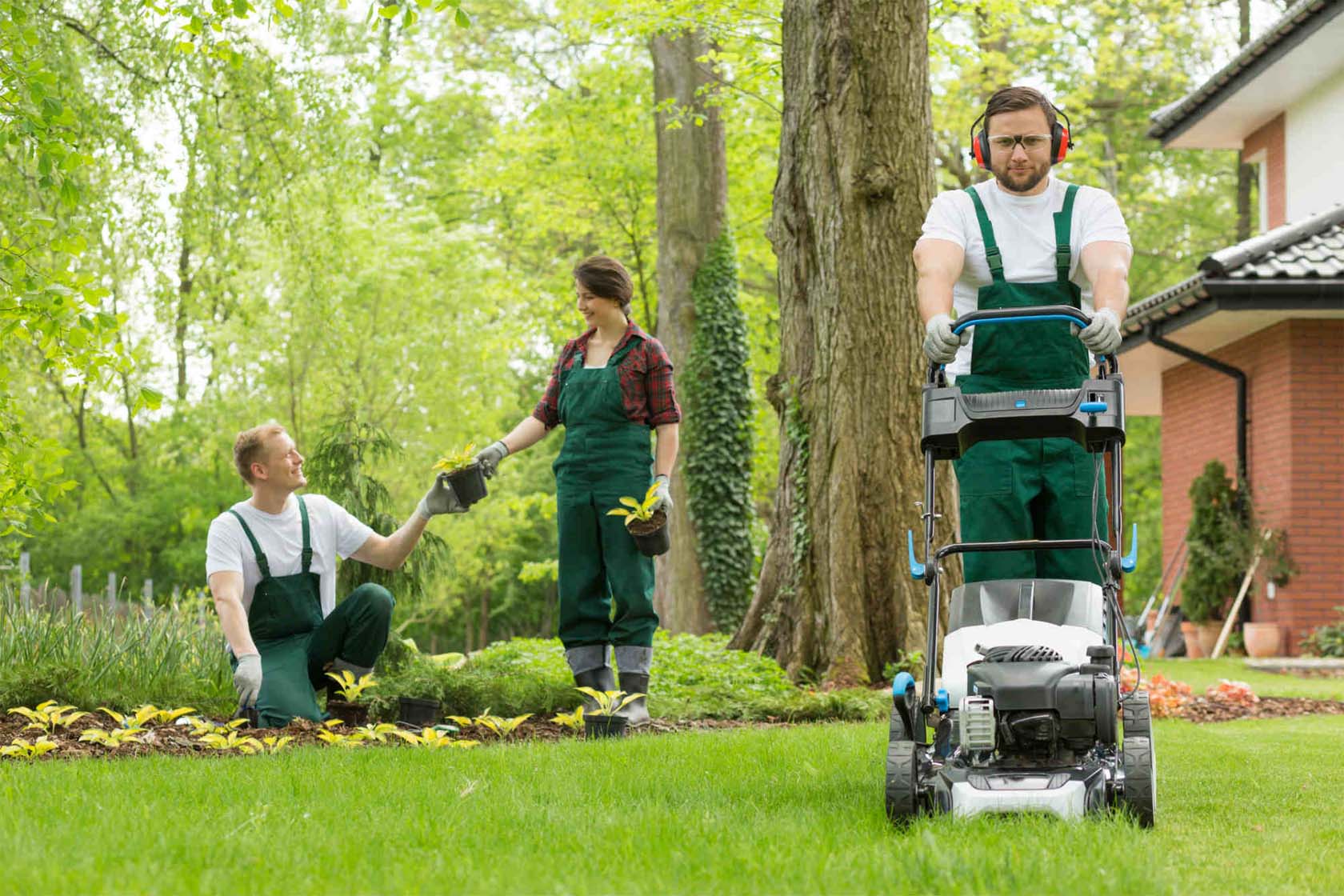 3 Lawn Care Services Worth Investing in This Summer