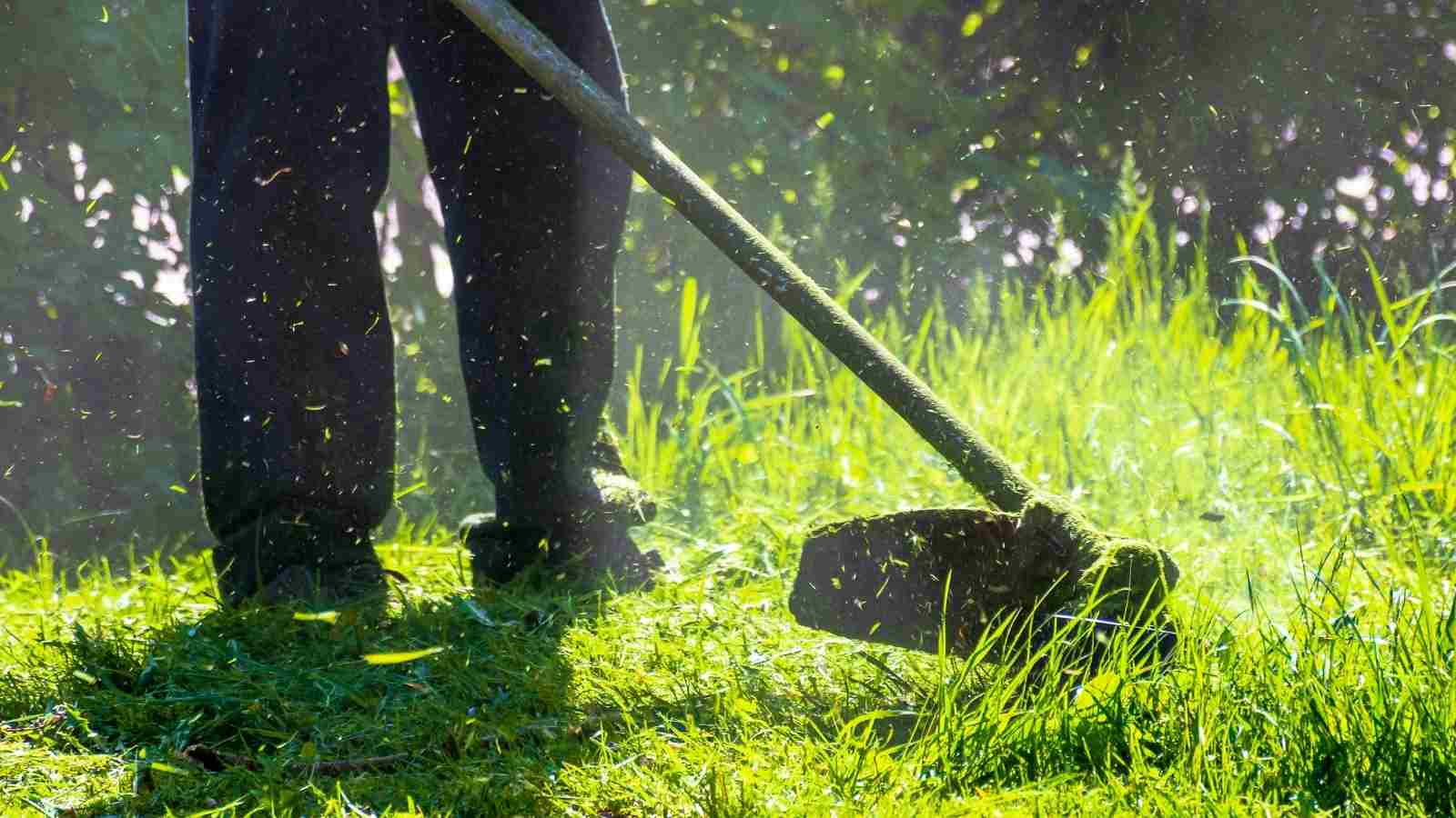 4 Simple Yard Maintenance Tips for the Spring