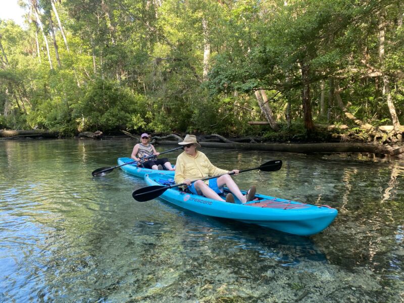 Kayaking in the Wilderness at chassahowitzka kayak: What to Expect