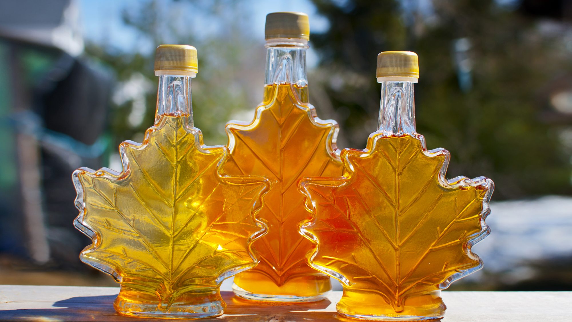 How to Store Maple Syrup? Learn the Best 4 Ideas for Storage