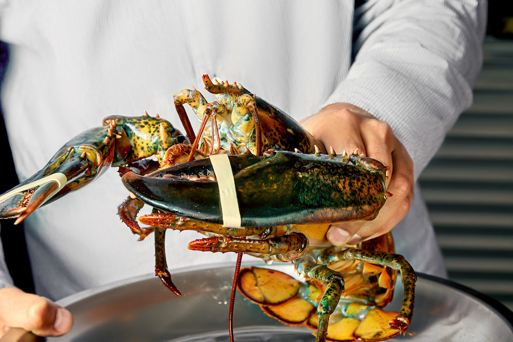 Tips for shopping for lobster online
