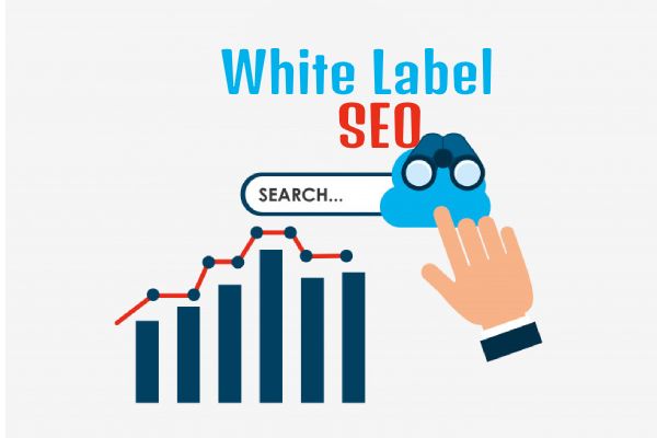 What to Look For in a White Label SEO Provider