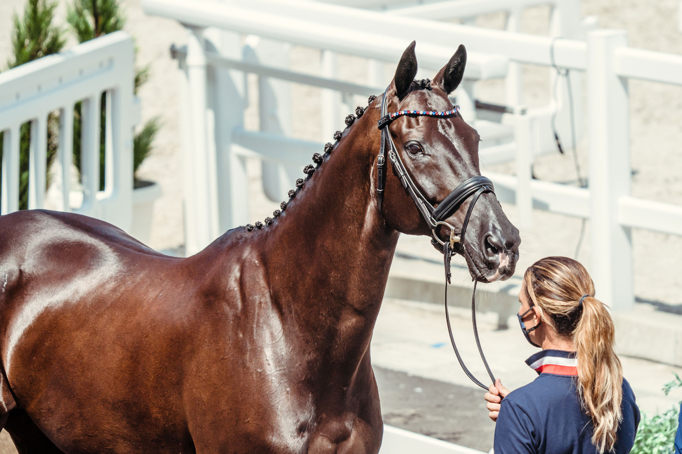 Healthy as a Horse: 5 Care Tips for Keeping Your Horses in Tip-Top Shape