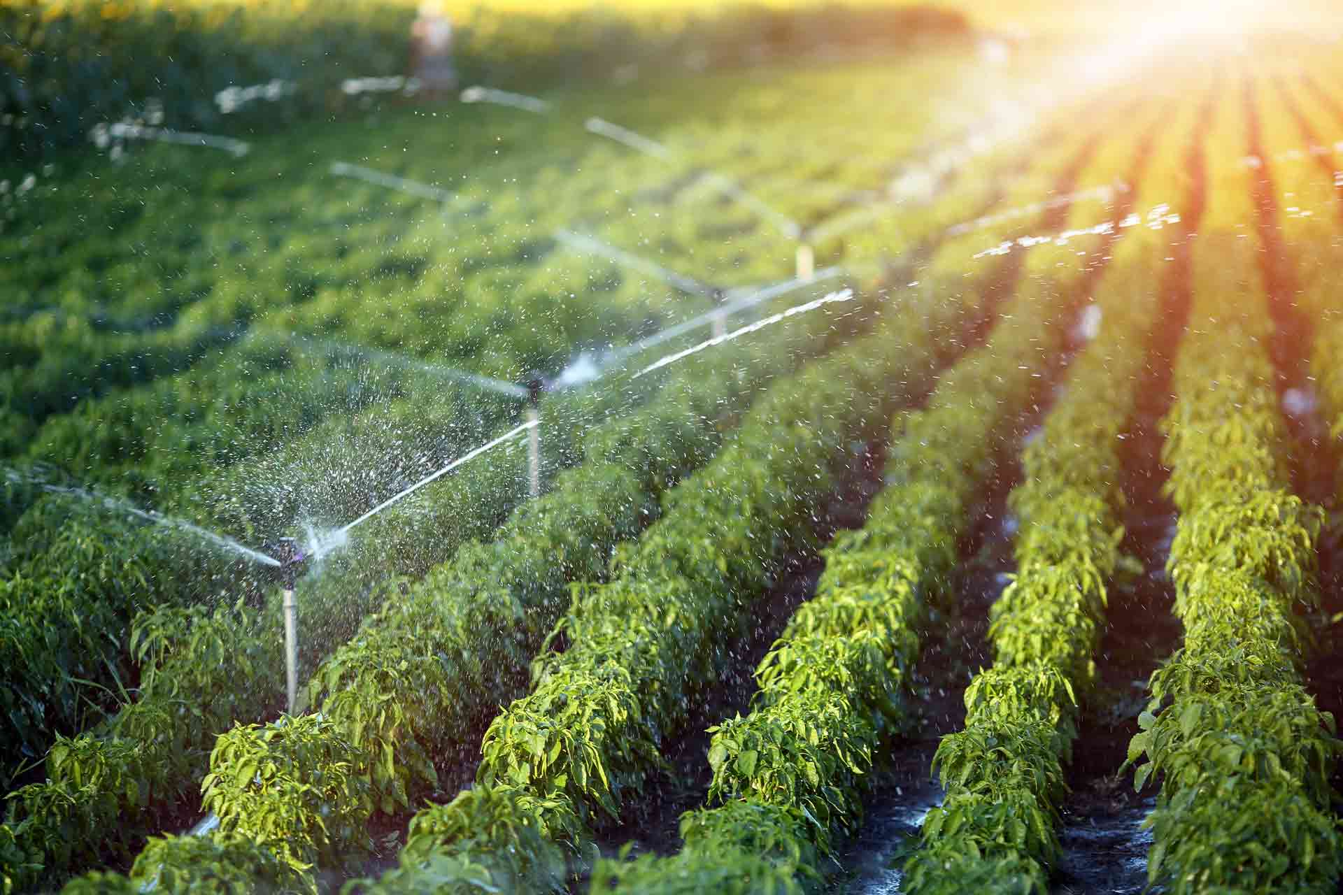 Benefits Of Having A Smarter And More Efficient Irrigation System