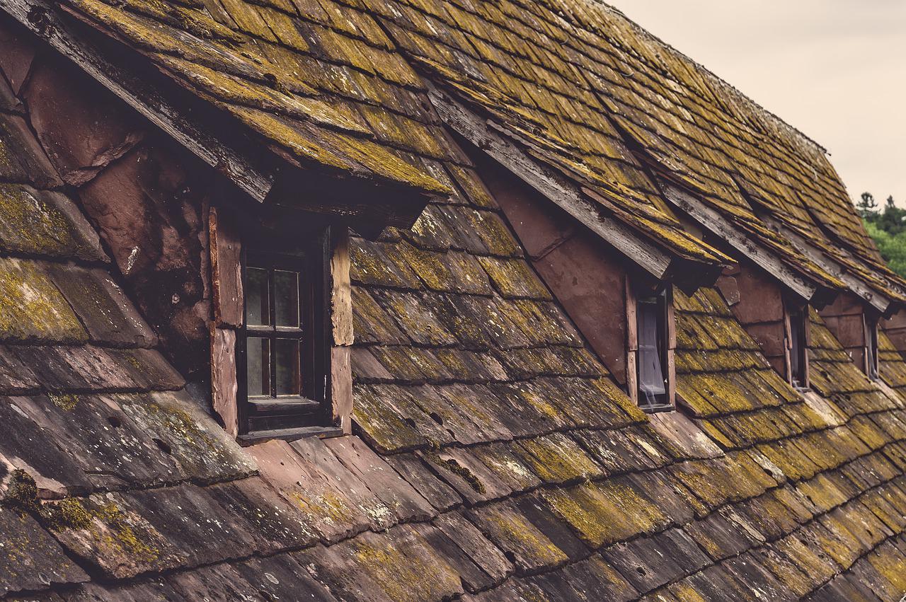 5 Signs It’s Time to Replace Your Roof