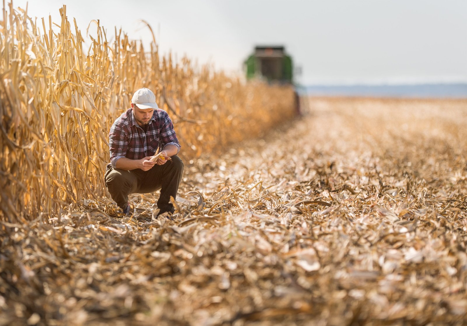 3 Things you must do to Protect your Farm