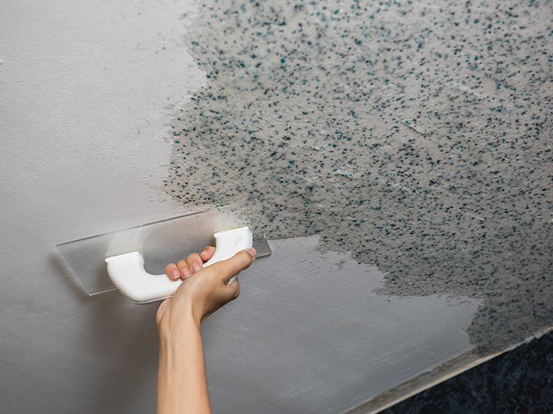 Reasons to Consider Mold Remediation for Your Home or Property