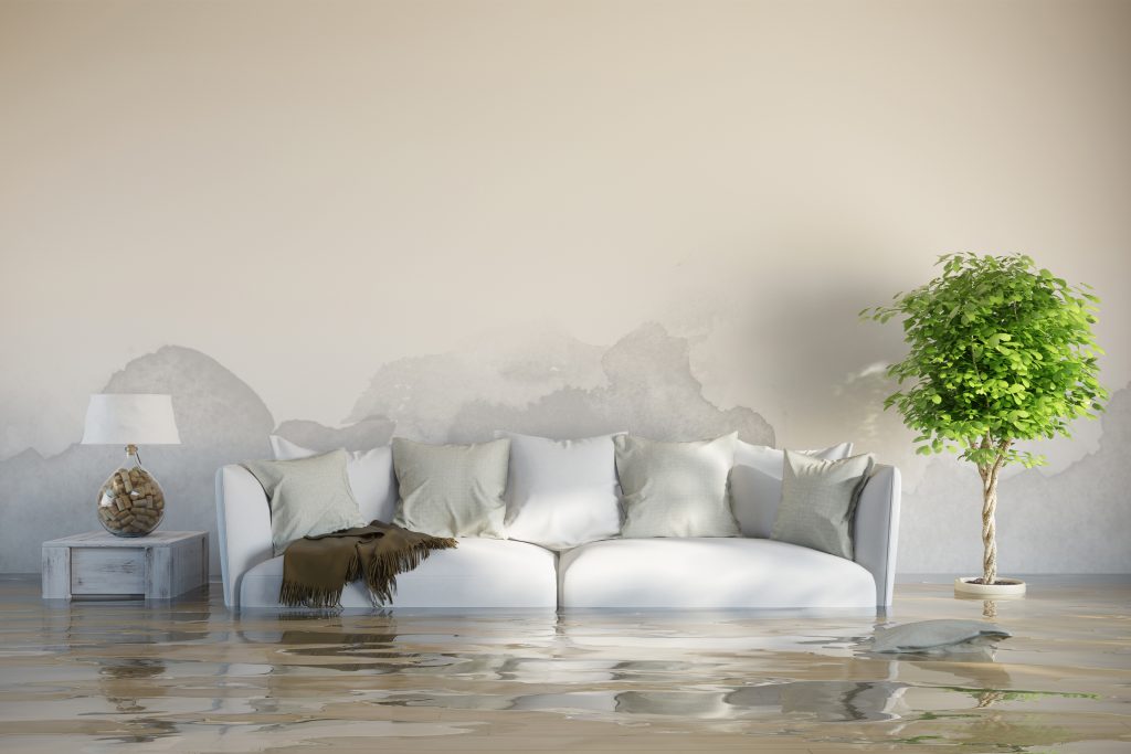 How Exactly Can You Prevent a Flooded Home?