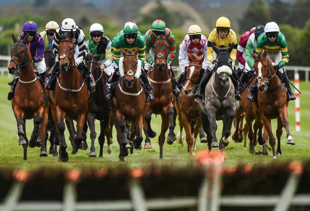 Why Horse Racing Bookmakers Are the Best Way To Bet