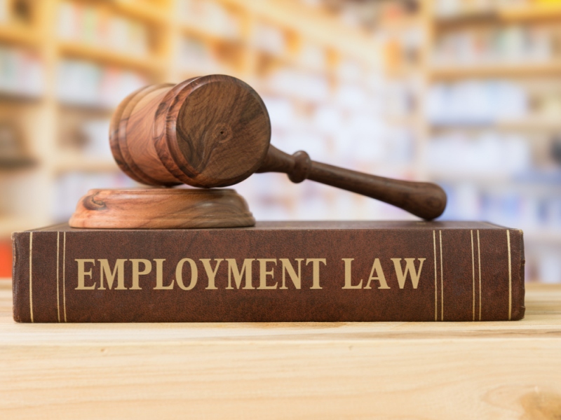 Seven Reasons Why You Need a Lawyer to Help You with Employment Law