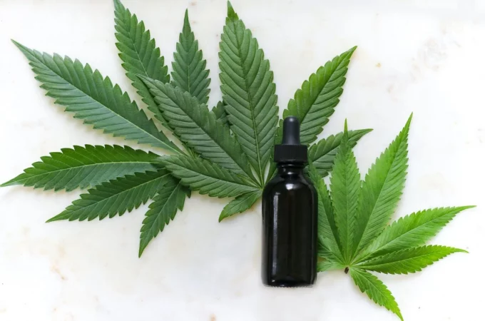 CBD Oil Vs. CBD Water – Which One is Right for You?