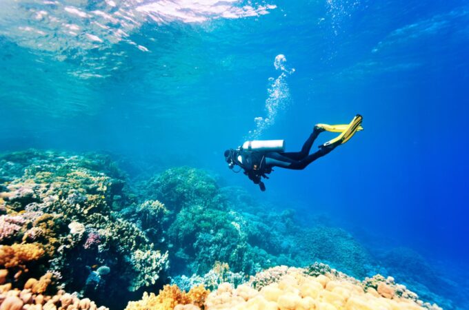 Snorkeling vs. Scuba Diving – Discovering the Underwater Realm in Unique Ways!