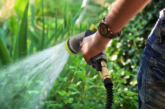 Use This Water Hose Checklist for a Pretty Garden Watering