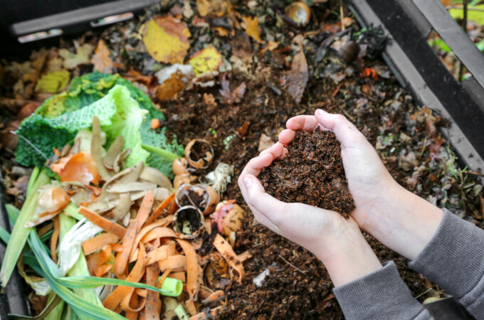 What To Consider When Choosing A Compost Bin