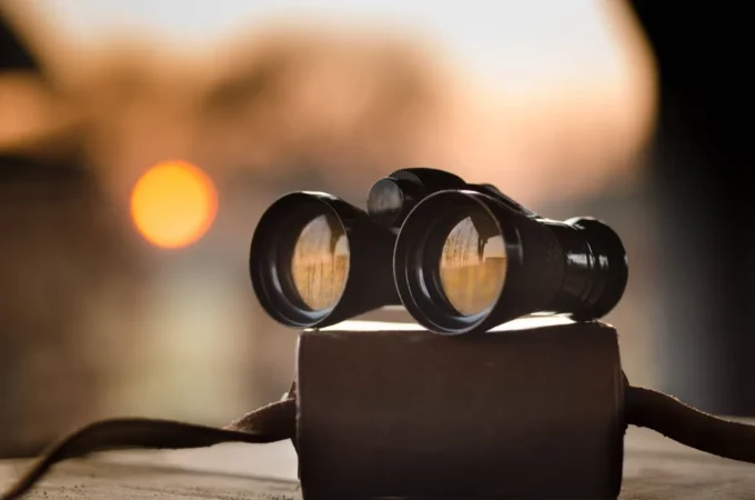 Choosing The Right Private Investigator: What To Look For?