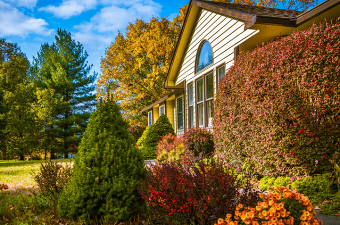 Elevate Your Home’s Curb Appeal for Back-to-School with These Landscaping Ideas