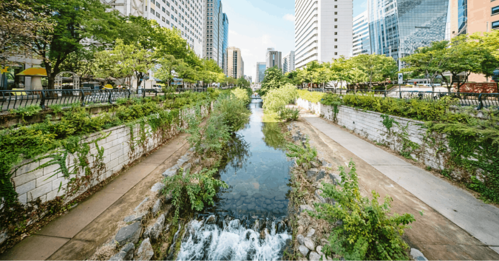 View of Eco-Friendly Living: How Renters in Los Angeles Can Embrace Green Spaces