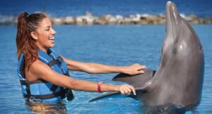 Swim with Dolphins in Montego Bay: An Unforgettable Experience at Dolphin Cove